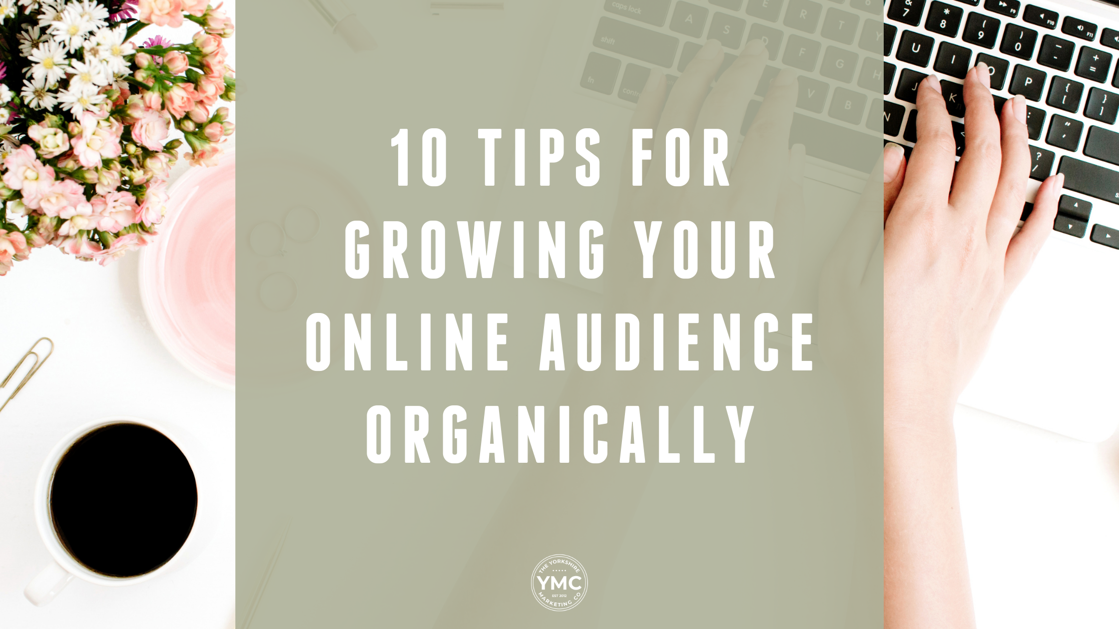 10 Tips For Growing Your Online Audience Organically