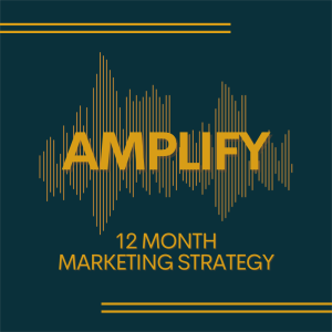 Amplify 12 Month Marketing Strategy