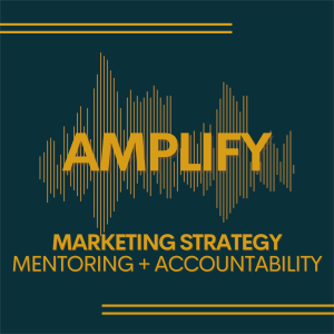 Marketing Strategy, Mentoring and Accountability